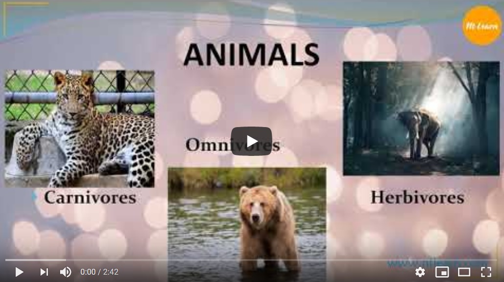 NTLearn - Animals (Herbivores, Carnivores, Omnivores and Scavengers)