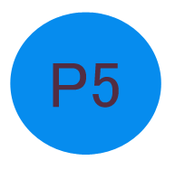 P5