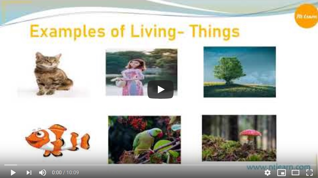 NTLearn - Living and Non-Living Things