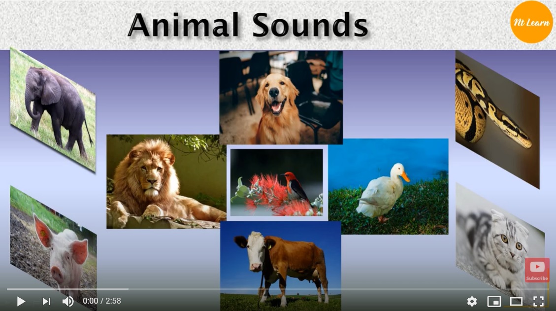 NTLearn - Animal Sounds